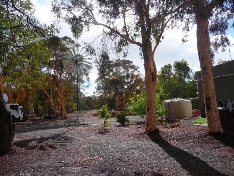 7 Studmaster View, Bullsbrook WA 6084