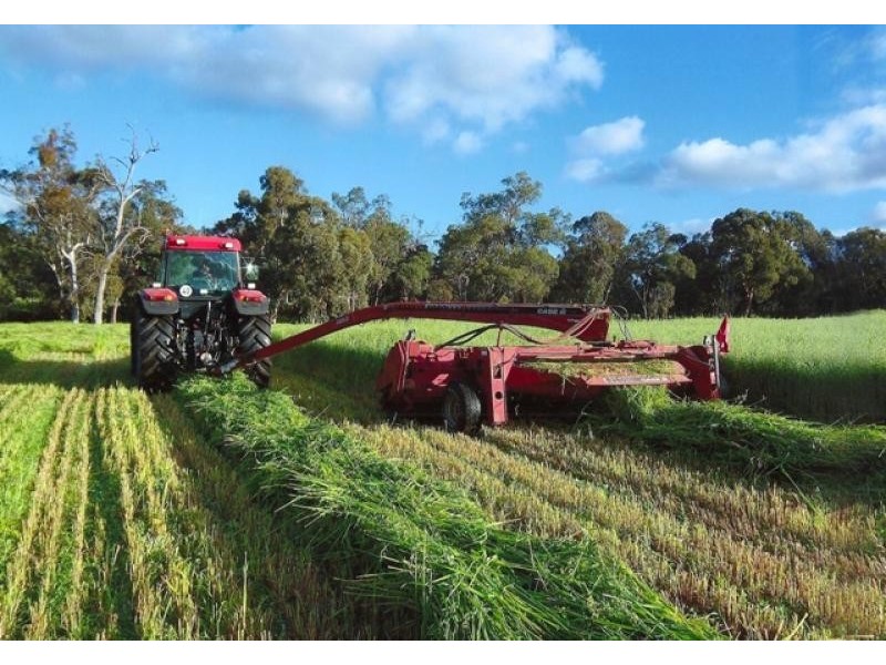 3214 Julimar Rd, Chittering WA 6084