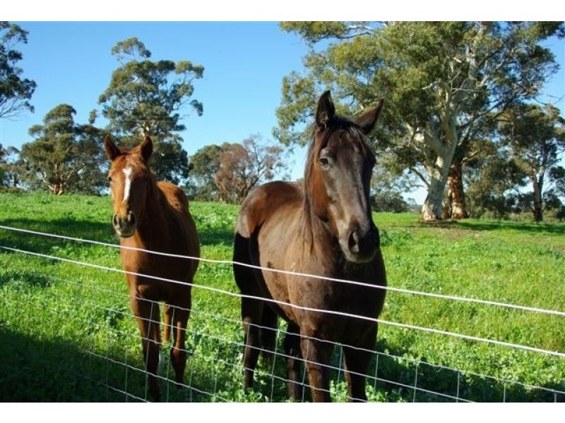 22 Lemon Street, Upper Swan WA 6069