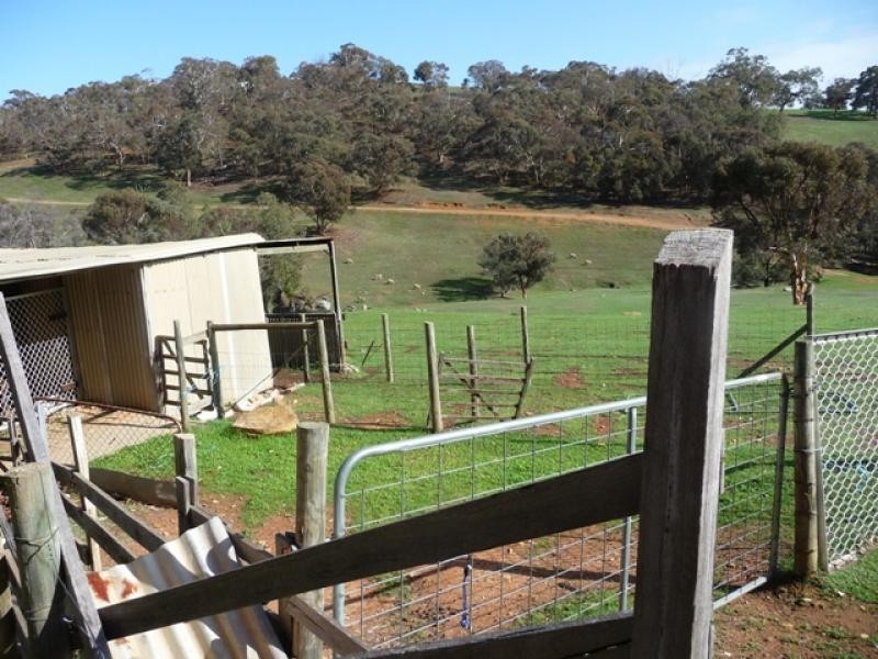 99 Brookvale Mews, Bullsbrook WA 6084