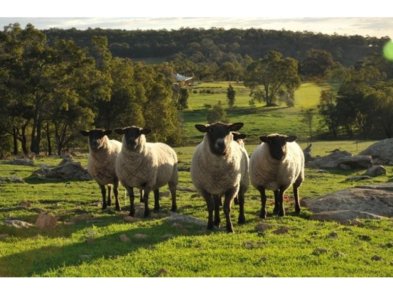 25 Evelyn Place, Bullsbrook WA 6084