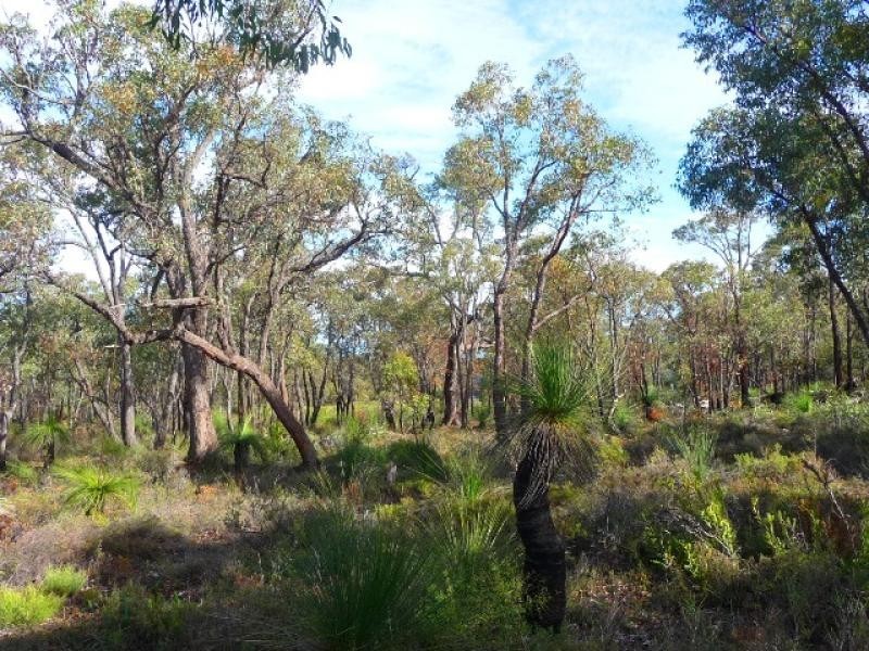 58 Buckthorn Drive, Lower Chittering WA 6084