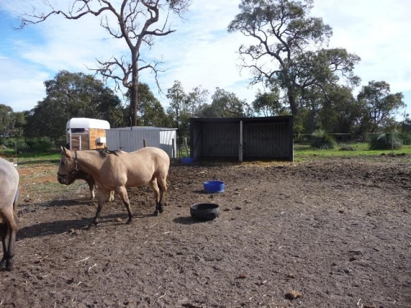 58 Buckthorn Drive, Lower Chittering WA 6084