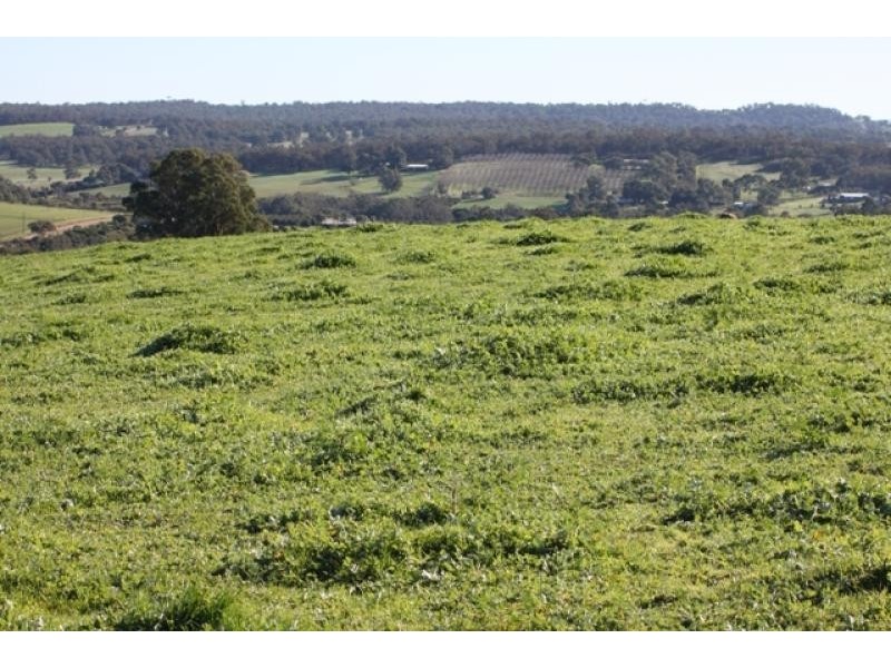 Lot 400 Chittering Rd, Chittering WA 6084