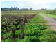 61 Nolan Ave, Upper Swan WA 6069