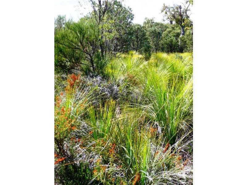 Lot 858/ Sugar Gum Drive, Chittering WA 6084