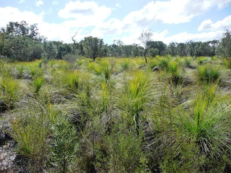 Lot 858/ Sugar Gum Drive, Chittering WA 6084