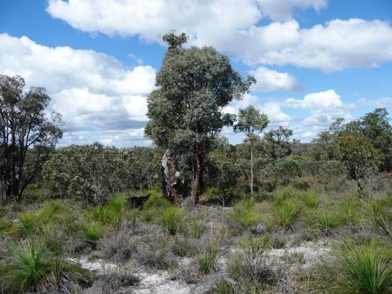 Lot 858/ Sugar Gum Drive, Chittering WA 6084