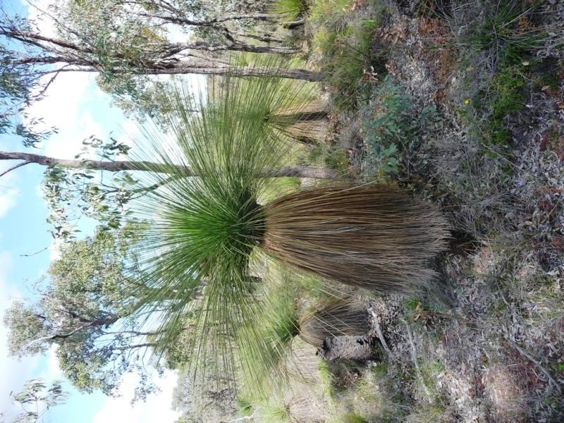 Lot 858/ Sugar Gum Drive, Chittering WA 6084