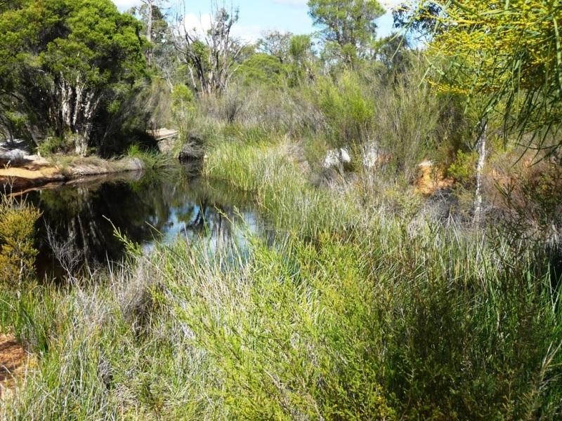 Lot 858/ Sugar Gum Drive, Chittering WA 6084