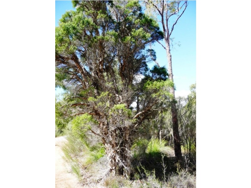 Lot 858/ Sugar Gum Drive, Chittering WA 6084