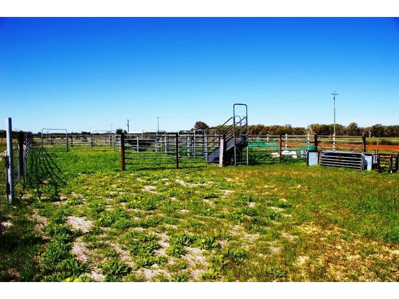 63 Muckunburra, Gingin WA 6503