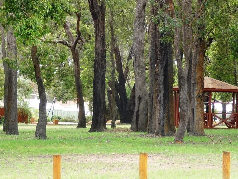 10 Field View, Bullsbrook WA 6084