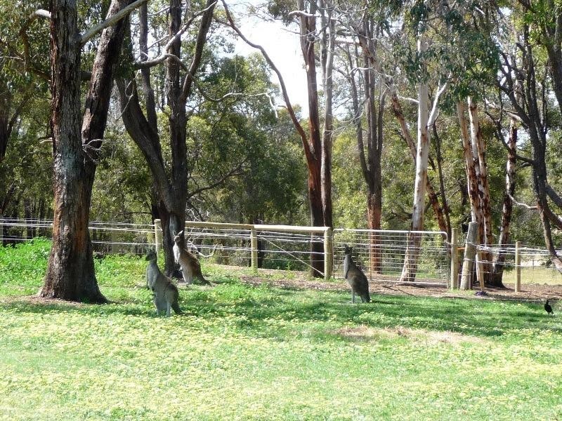 14 LINZER PLACE, Bullsbrook WA 6084
