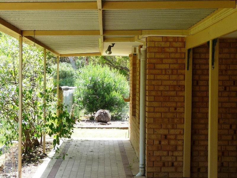 14 LINZER PLACE, Bullsbrook WA 6084