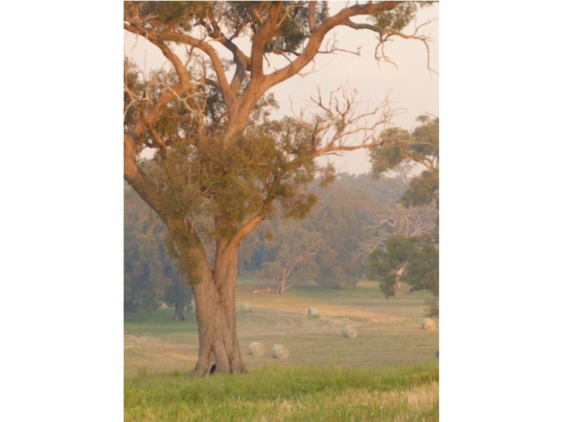 3214 Julimar Rd, Chittering WA 6084