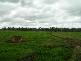 Harvey WA 6220