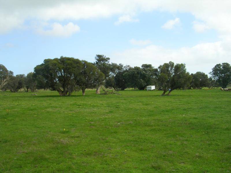 Dardanup WA 6236