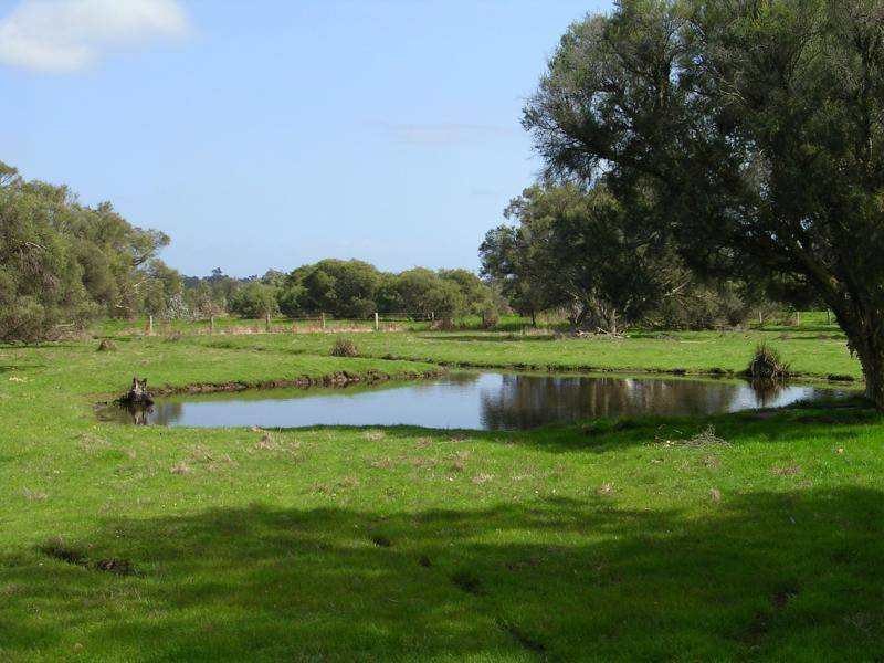 Dardanup WA 6236