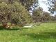 Dardanup WA 6236