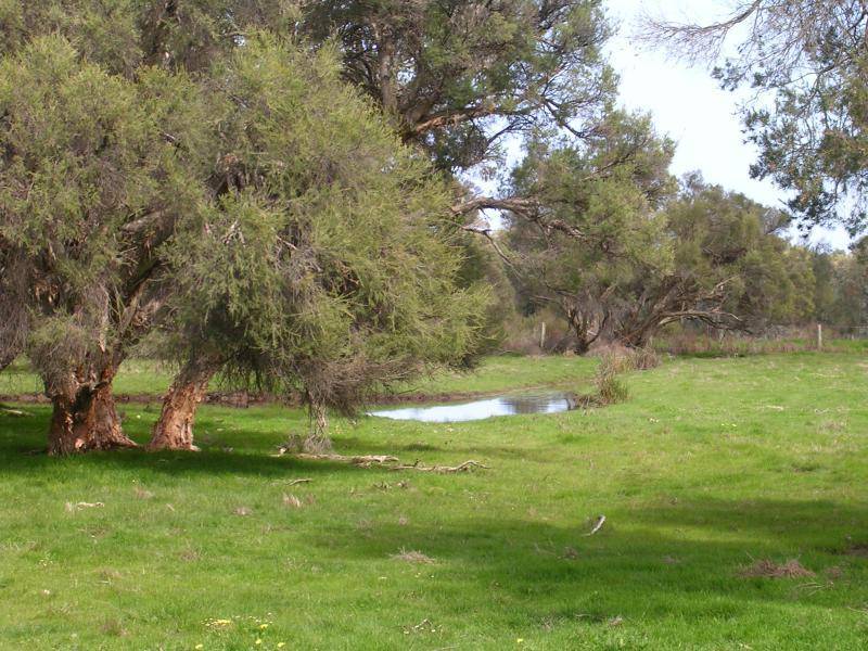 Dardanup WA 6236