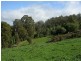 Dardanup West WA 6236