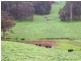 Dardanup West WA 6236
