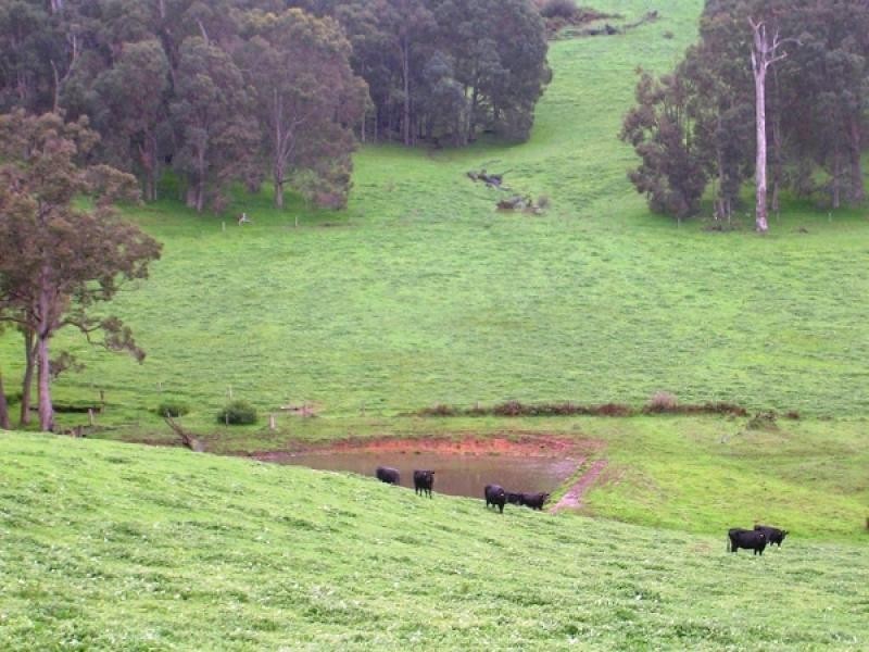 Dardanup West WA 6236