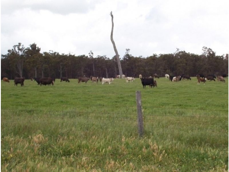 Lot Lot 12392 Longs Rd, Bridgetown WA 6255