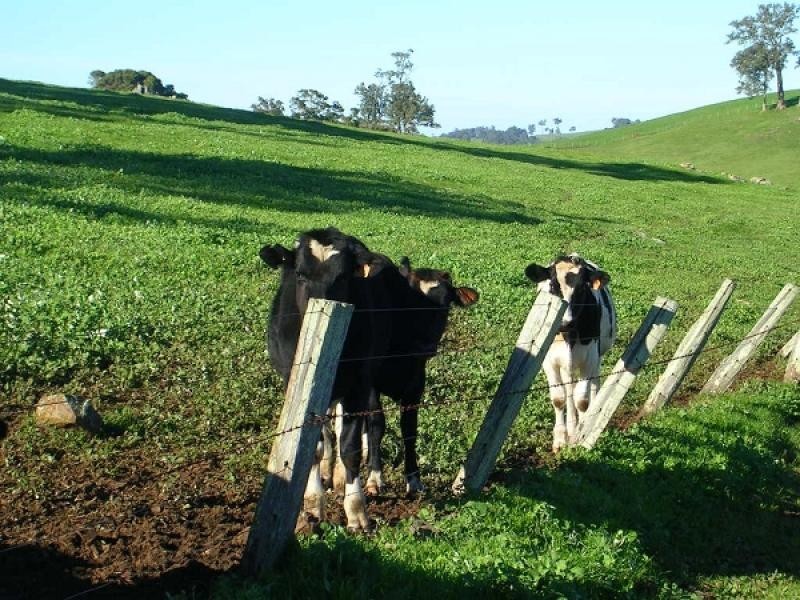 Lot 3 Kessell Road, Crooked Brook WA 6236