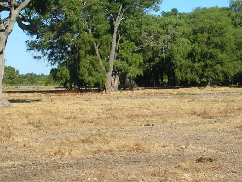 14 Paperbark Close, North Boyanup WA 6237