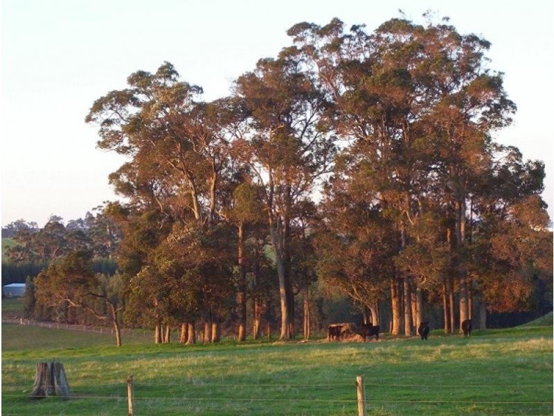 Manjimup WA 6258