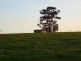 Manjimup WA 6258
