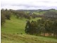 Lot 1 South Branch Road, Thomson Brook WA 6239