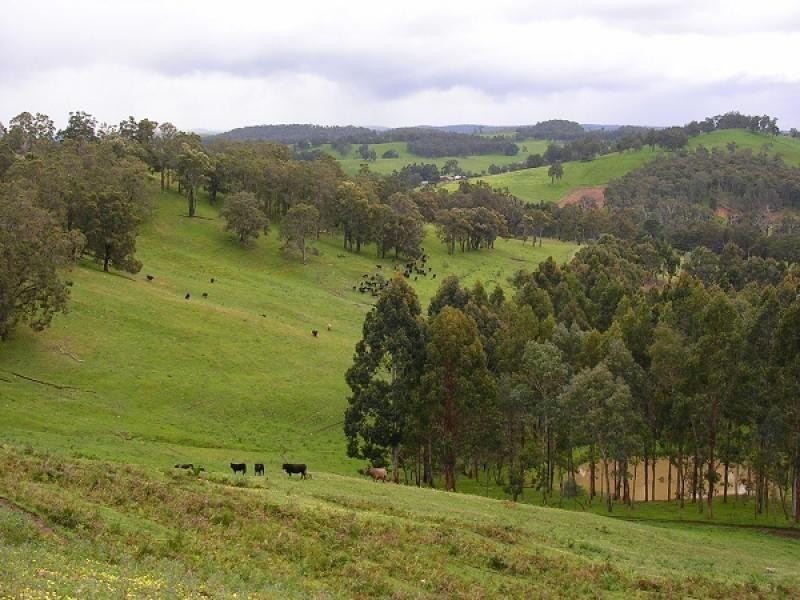 Lot 1 South Branch Road, Thomson Brook WA 6239
