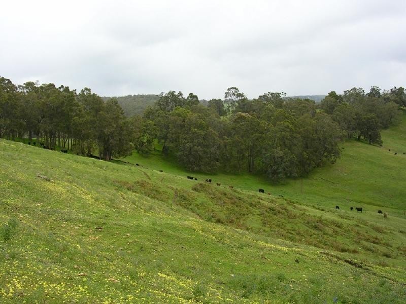 Lot 1 South Branch Road, Thomson Brook WA 6239