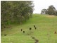 Lot 1 South Branch Road, Thomson Brook WA 6239