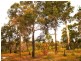 56 Jilley Road, Gelorup WA 6230