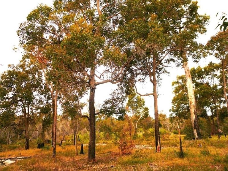 56 Jilley Road, Gelorup WA 6230