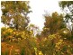 56 Jilley Road, Gelorup WA 6230