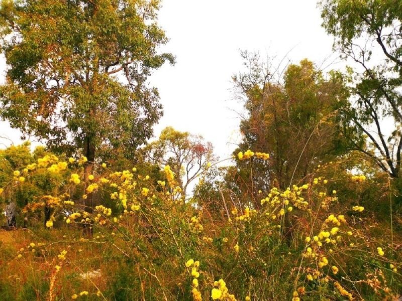 56 Jilley Road, Gelorup WA 6230