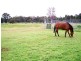 23 Rose Road, Allanson WA 6225
