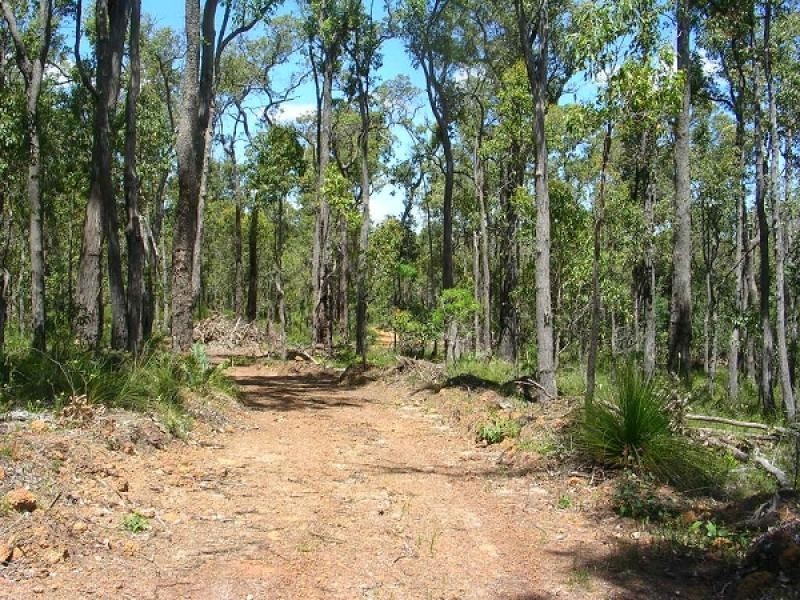 Lot 301 Hurst Road, Argyle WA 6239