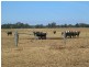Lot 7 Wonnerup South Road, Busselton WA 6280