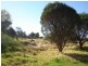 95 Causeway Road, Busselton WA 6280