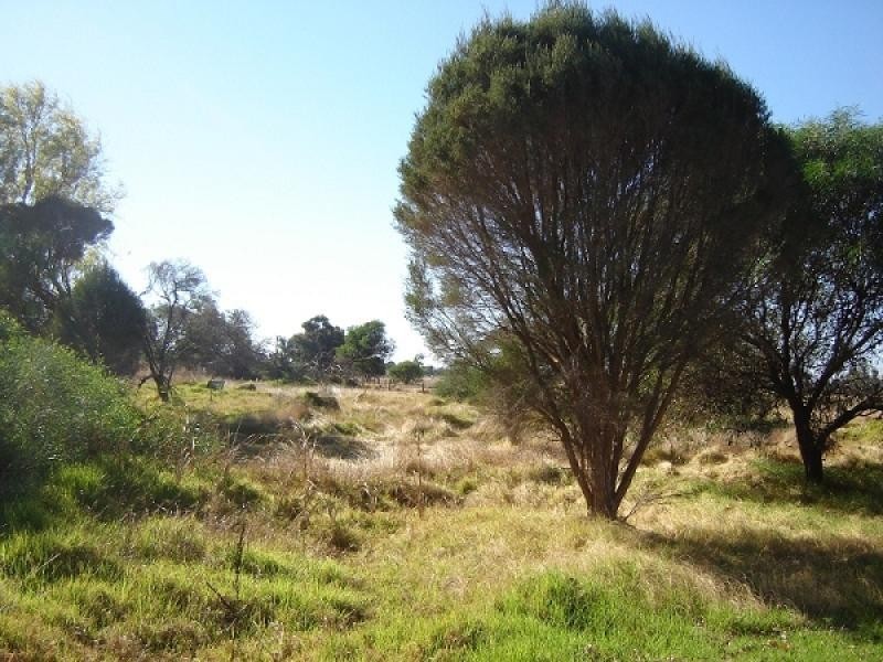 95 Causeway Road, Busselton WA 6280