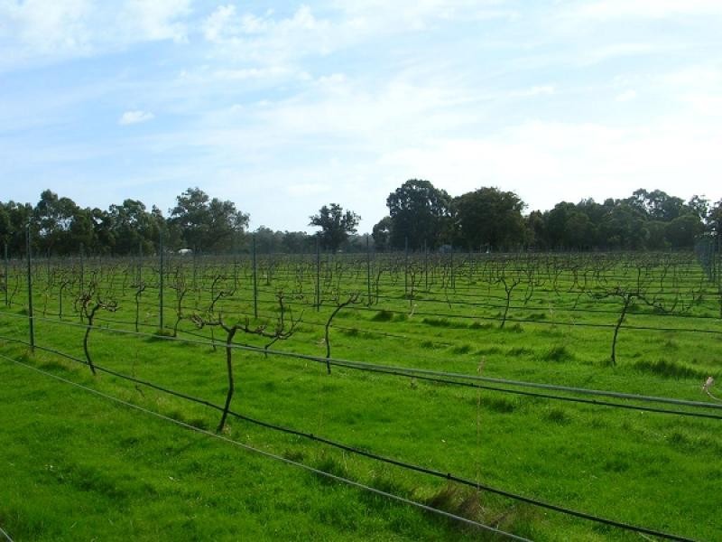 8 Mallokup Road, Capel WA 6271