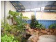 6 Wright Street, Harvey WA 6220