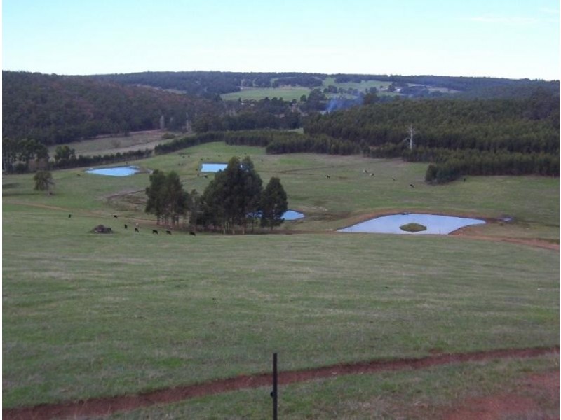 Lot 389 South West Highway, Bridgetown WA 6255