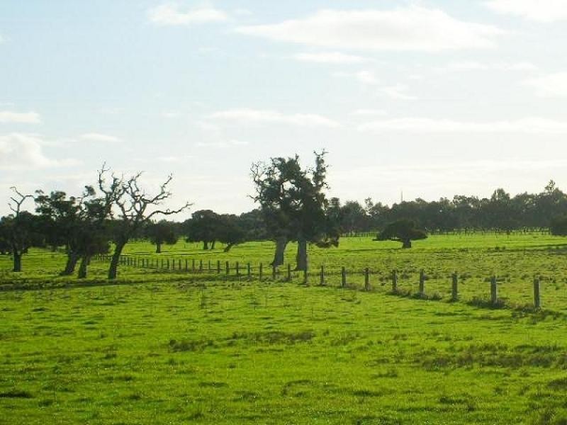 111 Nuttall Road, The Plains, Boyanup WA 6237